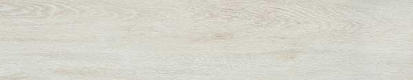     Catalea bianco 900x175.  Catalea