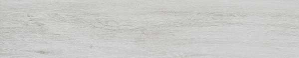     Catalea dust 900x175.  Catalea