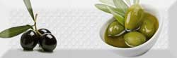    Olives 02 300x100.  Monocolor